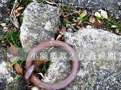 小额贷款20万逾期3年 小额贷款20万逾期3年