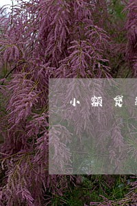 小额贷款7天逾期 小额贷款7天逾期