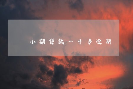 小额贷款一千多逾期 小额贷款一千多逾期