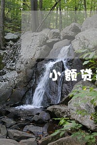 小额贷款一般逾期几天上征信 小额贷款一般逾期几天上征信