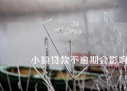 小额贷款不逾期会影响信用吗 小额贷款不逾期会影响信用吗