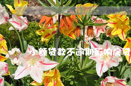 小额贷款不逾期影响房贷 小额贷款不逾期影响房贷
