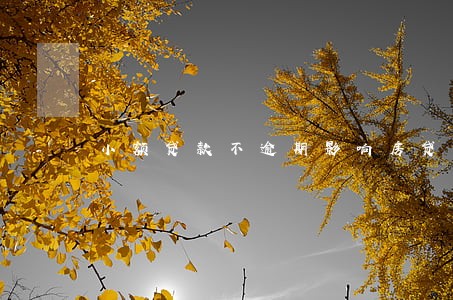 小额贷款不逾期影响房贷吗 小额贷款不逾期影响房贷吗