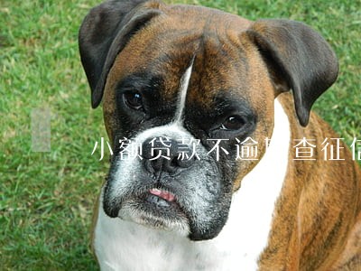 小额贷款不逾期查征信 小额贷款不逾期查征信