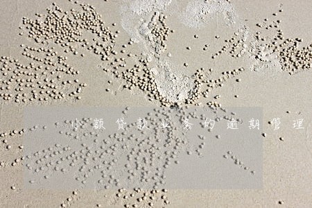 小额贷款业务的逾期管理 小额贷款业务的逾期管理