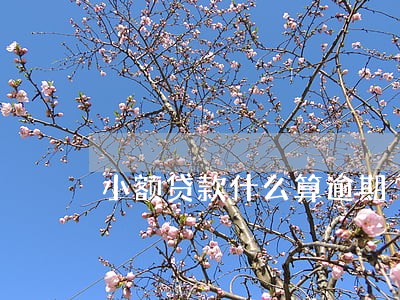 小额贷款什么算逾期 小额贷款什么算逾期