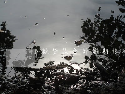 小额贷款全部逾期信用卡