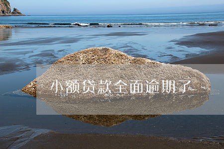 小额贷款全面逾期了 小额贷款全面逾期了