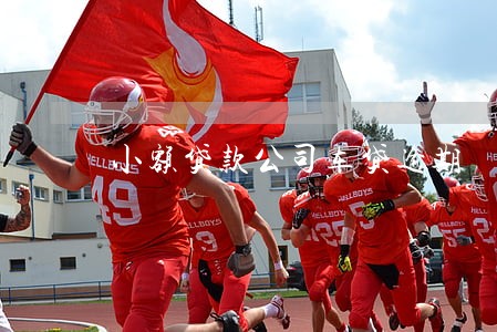 小额贷款公司车贷逾期 小额贷款公司车贷逾期