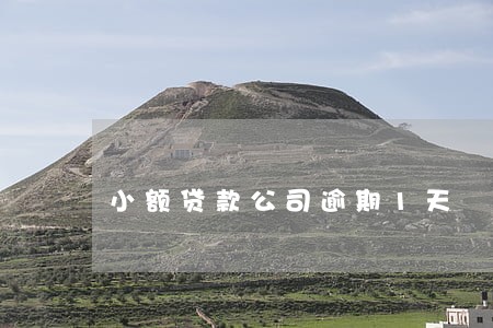 小额贷款公司逾期1天 小额贷款公司逾期1天