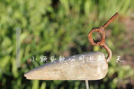 小额贷款公司逾期6天 小额贷款公司逾期6天