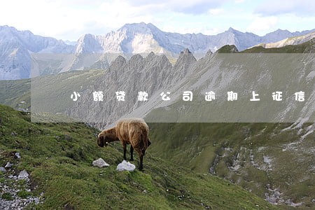 小额贷款公司逾期上征信吗6 小额贷款公司逾期上征信吗6