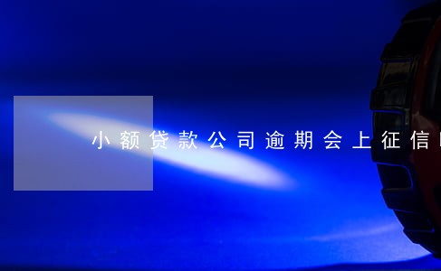 小额贷款公司逾期会上征信吗 小额贷款公司逾期会上征信吗