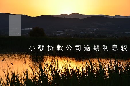 小额贷款公司逾期利息较高 小额贷款公司逾期利息较高