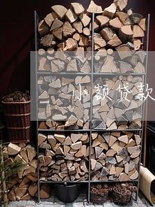 小额贷款公司逾期怎么办 小额贷款公司逾期怎么办
