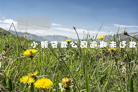 小额贷款公司逾期未还款 小额贷款公司逾期未还款