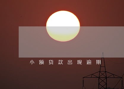 小额贷款出现逾期 小额贷款出现逾期