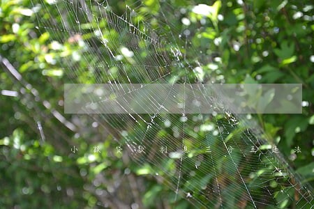 小额贷款利息三分五违法吗 小额贷款利息三分五违法吗