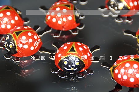 小额贷款利息逾期30天 小额贷款利息逾期30天