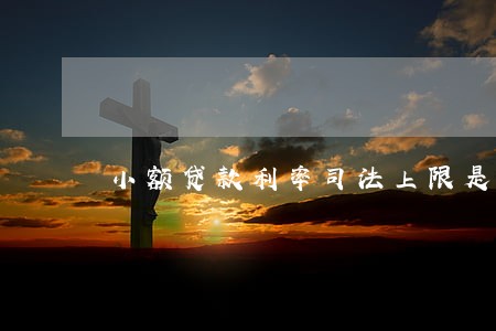 小额贷款利率司法上限是多少钱 小额贷款利率司法上限是多少钱