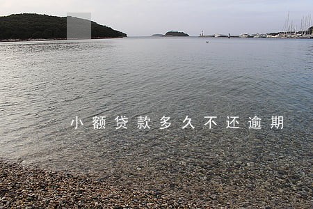 小额贷款多久不还逾期 小额贷款多久不还逾期