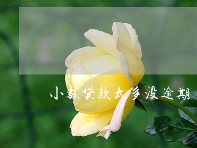 小额贷款太多没逾期 小额贷款太多没逾期