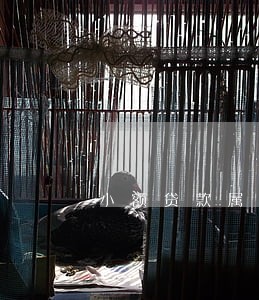小额贷款属不属于违法 小额贷款属不属于违法