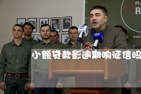 小额贷款影逾期响征信吗 小额贷款影逾期响征信吗