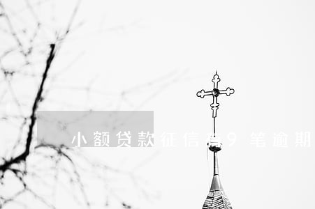 小额贷款征信有9笔逾期 小额贷款征信有9笔逾期