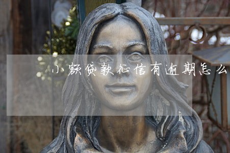 小额贷款征信有逾期怎么办6 小额贷款征信有逾期怎么办6