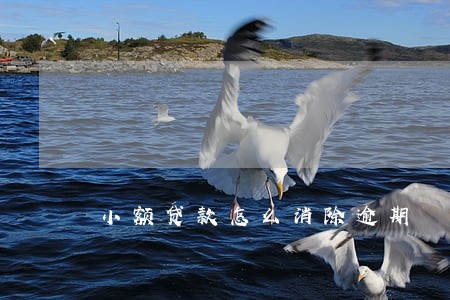 小额贷款怎么消除逾期 小额贷款怎么消除逾期