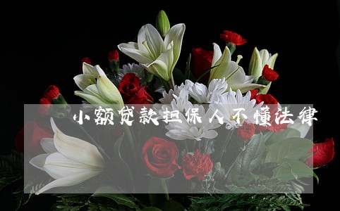 小额贷款担保人不懂法律 小额贷款担保人不懂法律