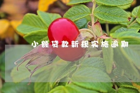 小额贷款新规实施逾期 小额贷款新规实施逾期