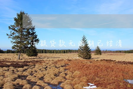 小额贷款无逾期已结清 小额贷款无逾期已结清