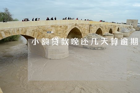 小额贷款晚还几天算逾期吗 小额贷款晚还几天算逾期吗