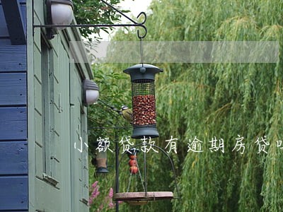 小额贷款有逾期房贷吗 小额贷款有逾期房贷吗