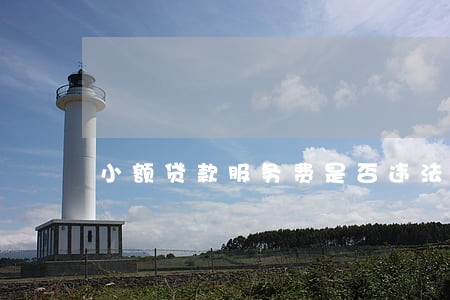 小额贷款服务费是否违法