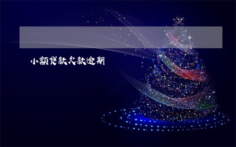 小额贷款欠款逾期 小额贷款欠款逾期