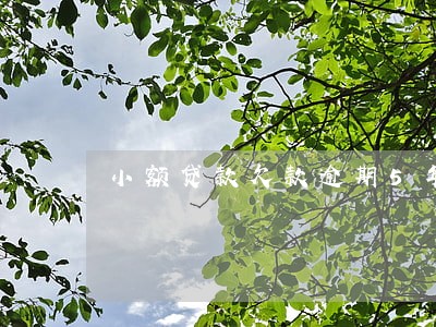 小额贷款欠款逾期5年了 小额贷款欠款逾期5年了