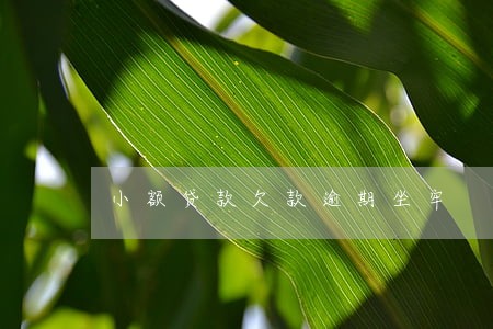 小额贷款欠款逾期坐牢 小额贷款欠款逾期坐牢