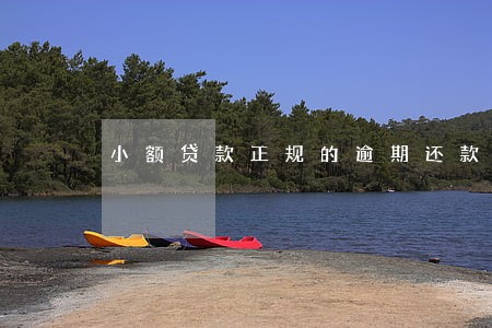 小额贷款正规的逾期还款方式 小额贷款正规的逾期还款方式