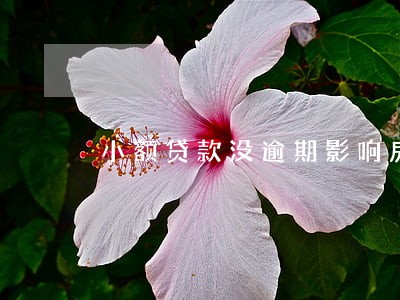 小额贷款没逾期影响房贷吗 小额贷款没逾期影响房贷吗