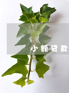 小额贷款的诉讼时效 小额贷款的诉讼时效