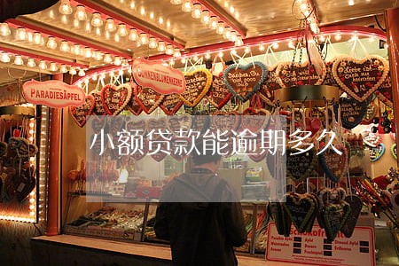 小额贷款能逾期多久 小额贷款能逾期多久