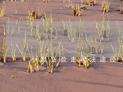 小额贷款走司法途径 小额贷款走司法途径