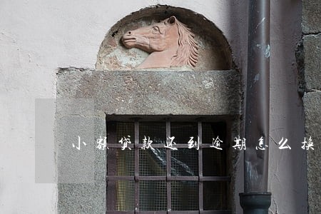 小额贷款还到逾期怎么换 小额贷款还到逾期怎么换