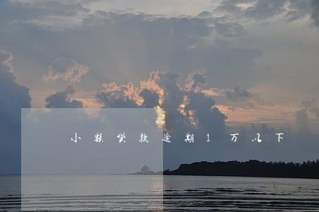 小额贷款逾期1万以下 小额贷款逾期1万以下