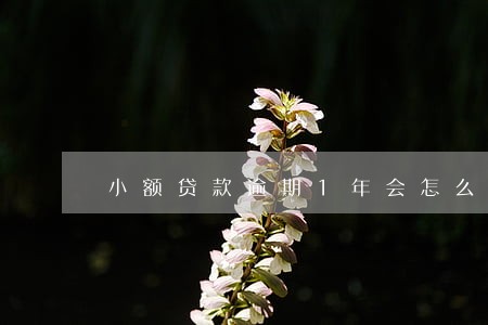 小额贷款逾期1年会怎么样 小额贷款逾期1年会怎么样