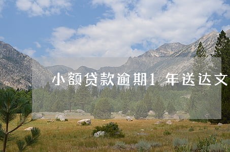 小额贷款逾期1年送达文书 小额贷款逾期1年送达文书