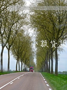 小额贷款逾期20天左右起诉 小额贷款逾期20天左右起诉